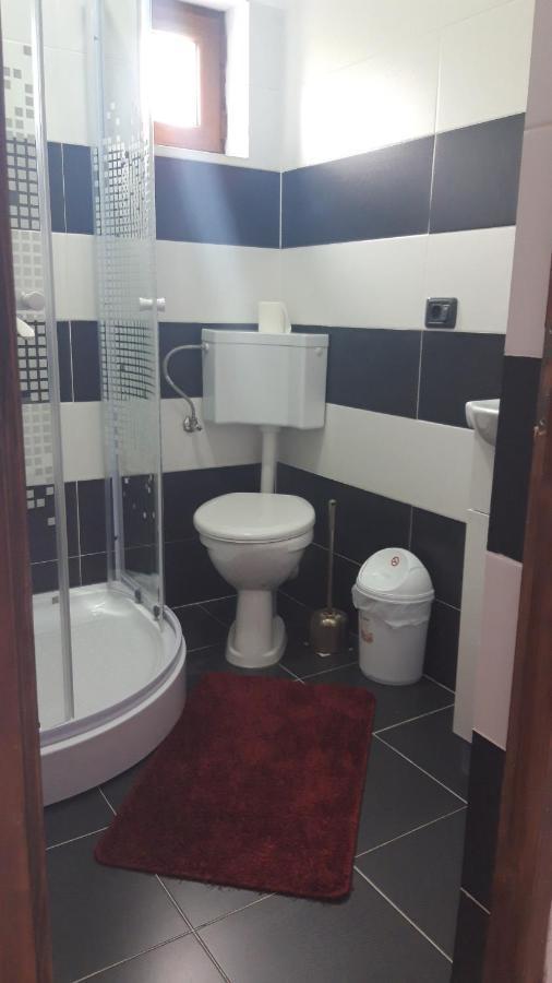 Casa Viorica Hotel Statjunea Borsa Luaran gambar