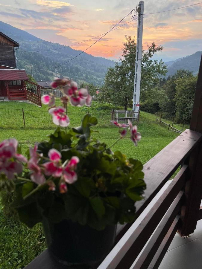 Casa Viorica Hotel Statjunea Borsa Luaran gambar