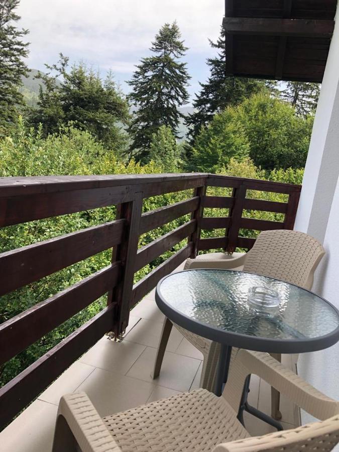 Casa Viorica Hotel Statjunea Borsa Luaran gambar