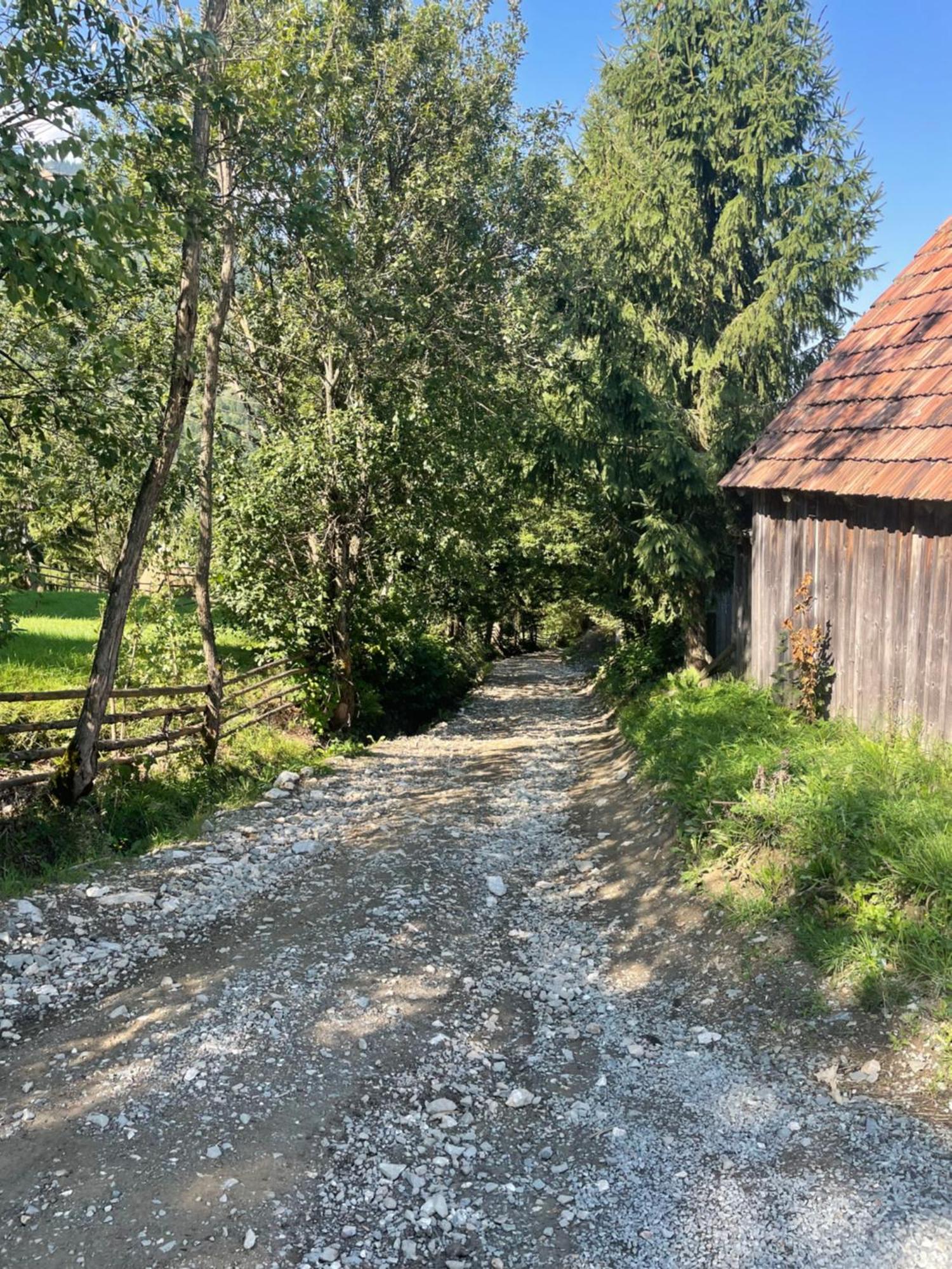 Casa Viorica Hotel Statjunea Borsa Luaran gambar